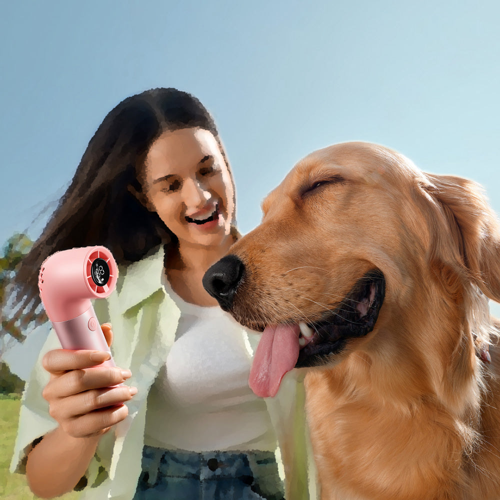 Aecooly PH01 Aero Pro Serisi Dijital LED Göstergeli Portatif Soğutucu El Fanı Gold