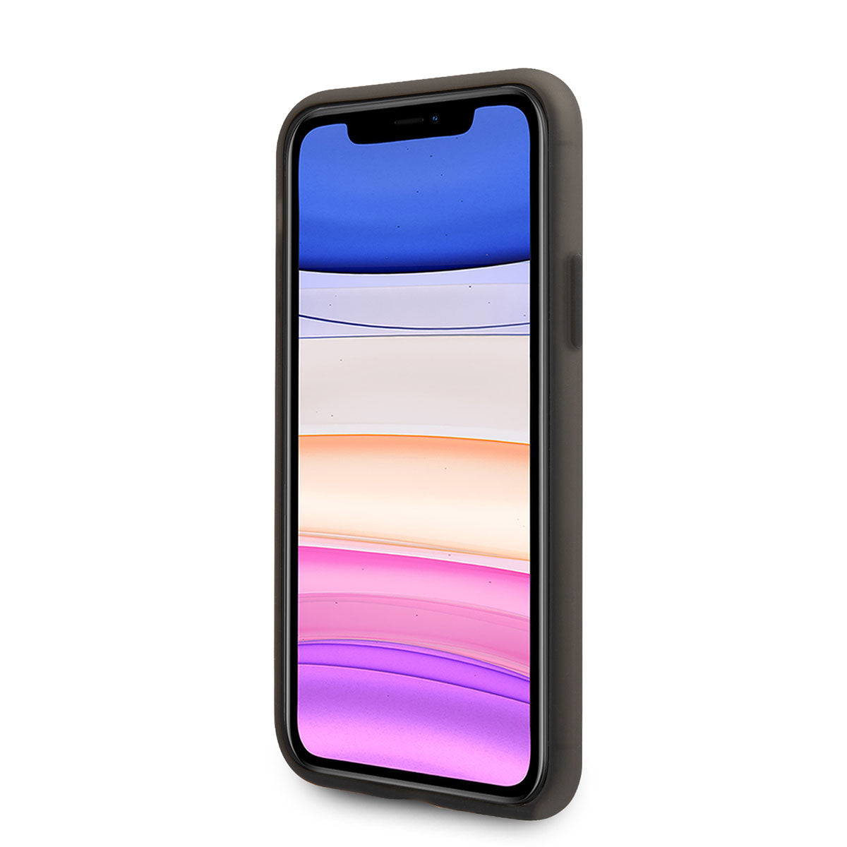 Apple iPhone 11 Kılıf U.S. POLO ASSN. Transparan Silikon Büyük Logo Dizayn Kapak Siyah