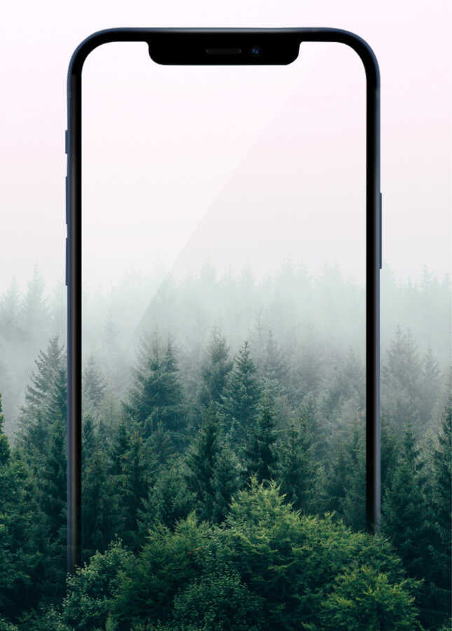 Apple iPhone 12 Pro Max Wiwu iPrivacy HD Anti-Peep Ekran Koruyucu Siyah