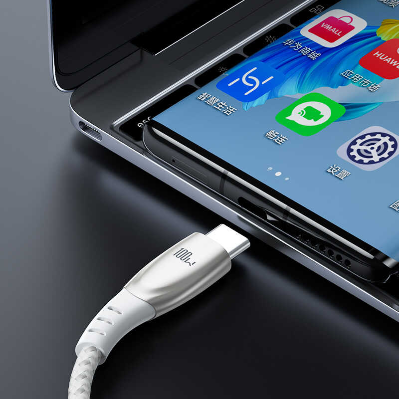 Benks D41 100W Type-C To Type-C Kablo 2M Siyah