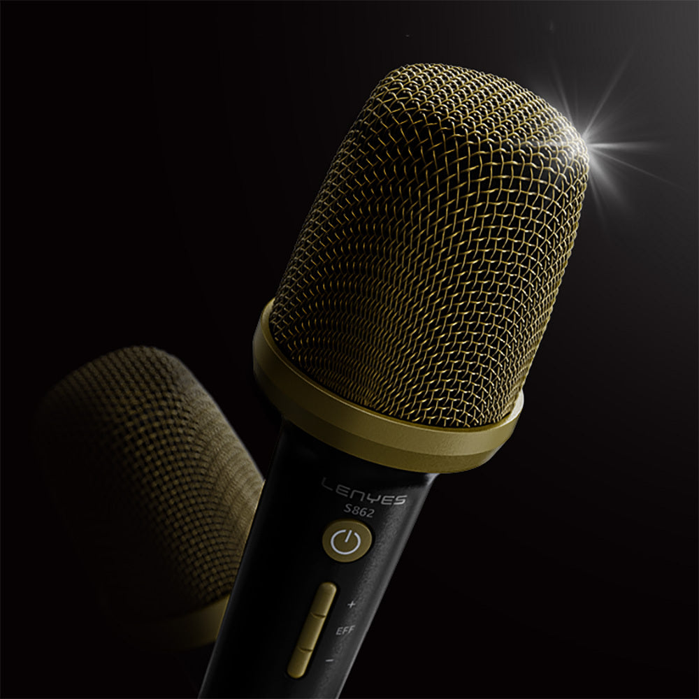 Lenyes S862 Su Geçirmez Mikrofonlu Çoklu Giriş Karaoke Bluetooth Hoparlör v5.3 120W Siyah