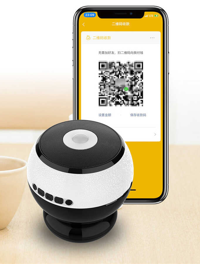 Soaiy E29 Bluetooth Speaker Hoparlör Siyah