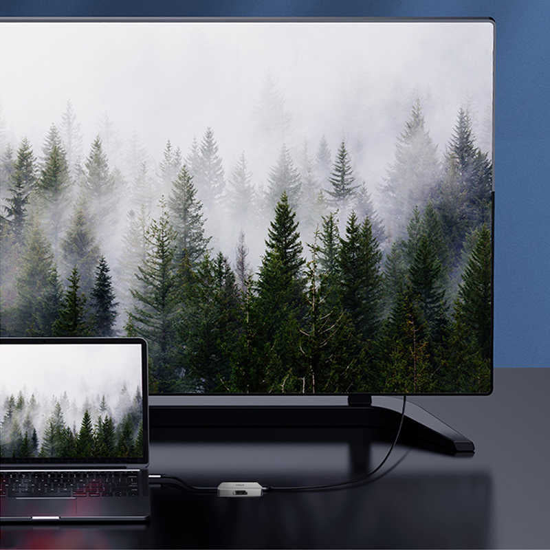 Wiwu Alpha A20VH 2 in 1 Type-C Hub Gri