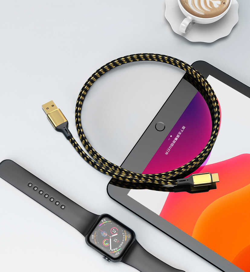 Wiwu Golden Series GD-101 Type-C Data Kablo 3M Gold