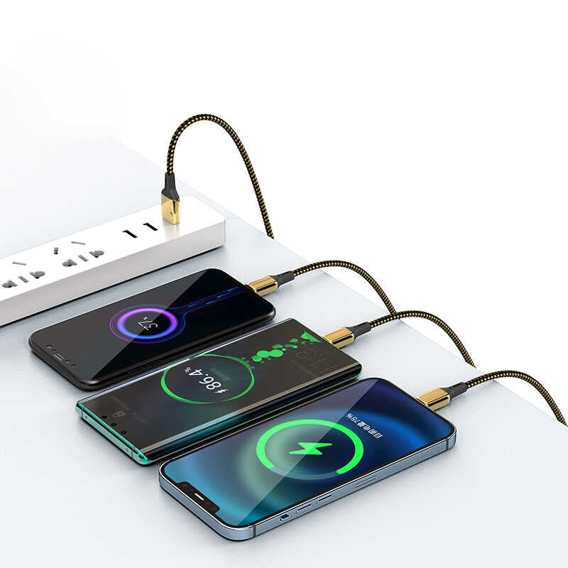 Wiwu Golden Series GD-101 Type-C Data Kablo 3M Gold